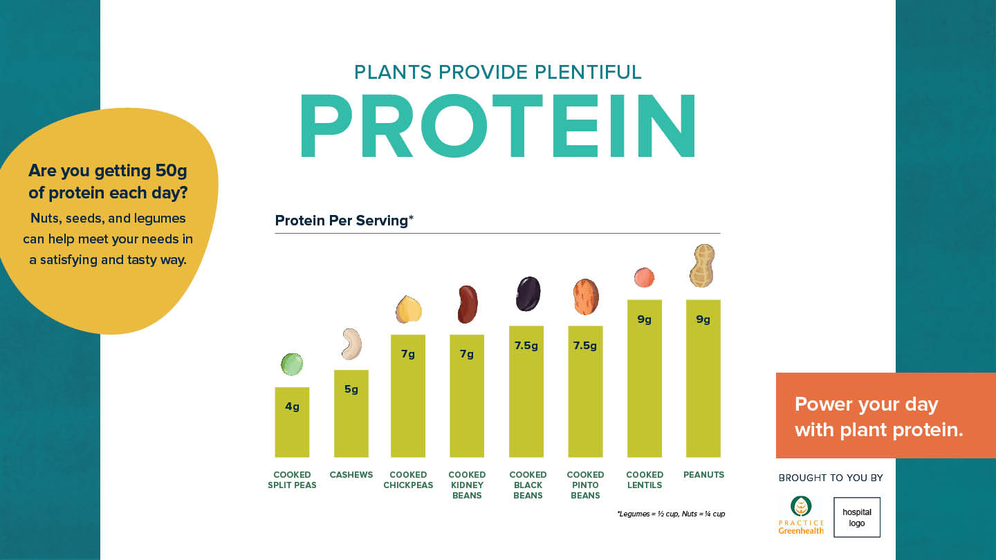 Plants provide plentiful protein infographic